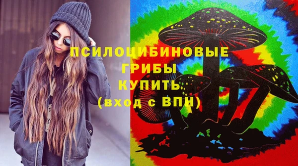 гидра Протвино