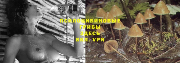мескалин Баксан