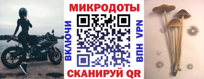 Псилоцибиновые грибы прущие грибы  Лахденпохья 
